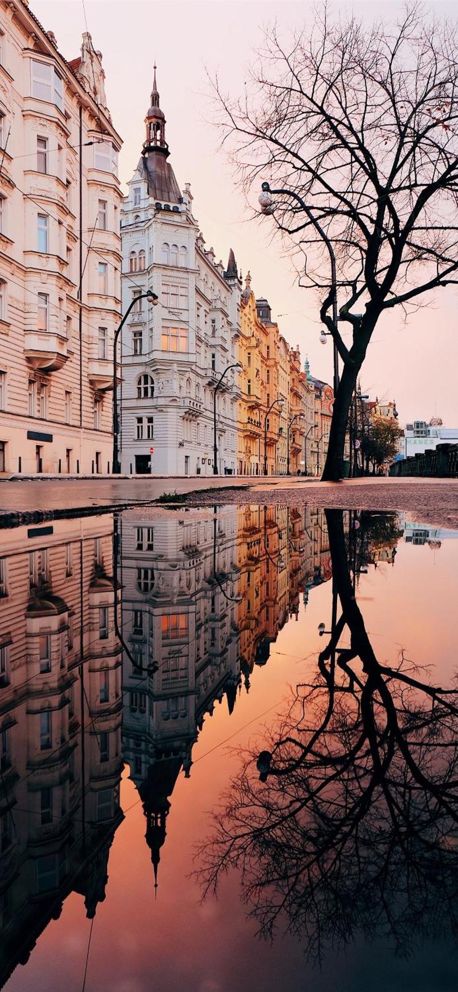 Apartamento Center Of 369 Praga